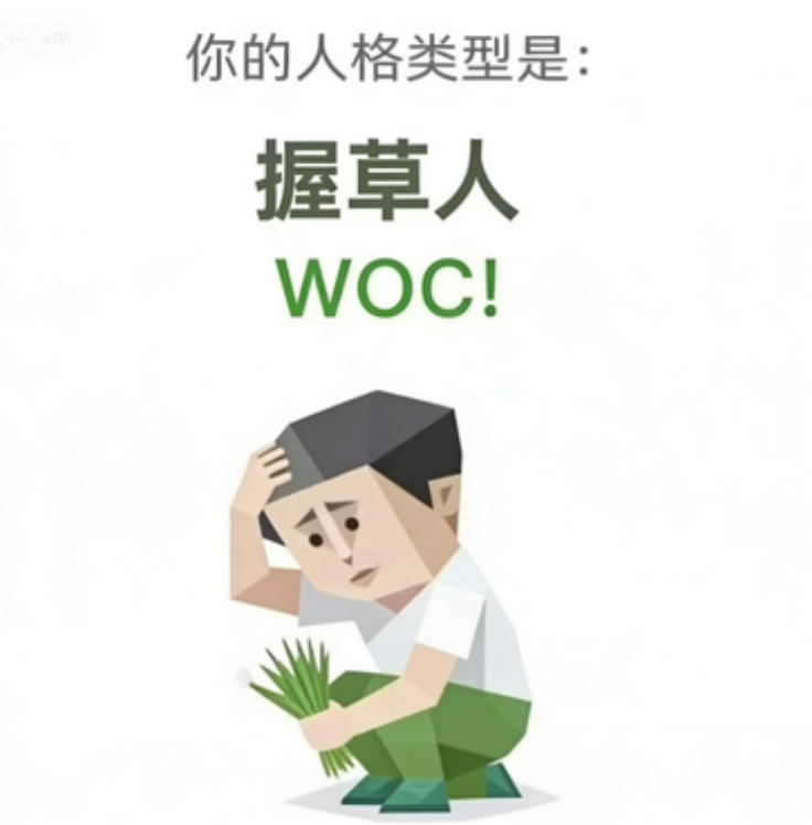 SBTI 人格 WOC 握草人